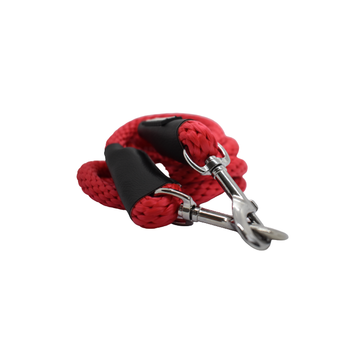 Laisse double connexion Animalin rouge inox