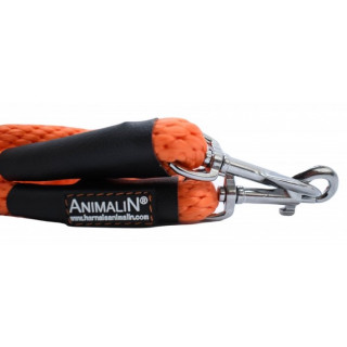 Laisse double connexion Animalin orange inox