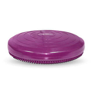 Disque d’équilibre FitPAWS® (FitPAWS® Balance Disc)