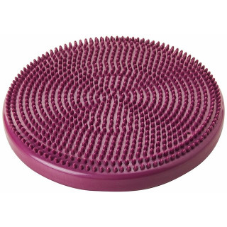 Disque d’équilibre FitPAWS® (FitPAWS® Balance Disc)