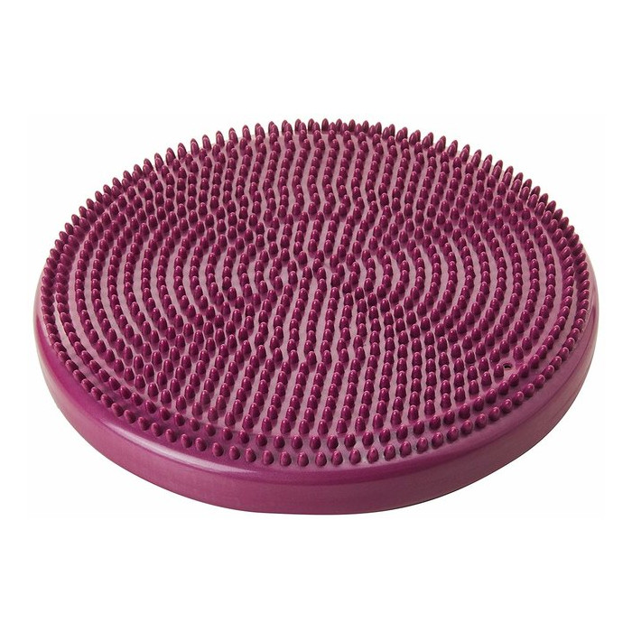 Disque d’équilibre FitPAWS® (FitPAWS® Balance Disc)