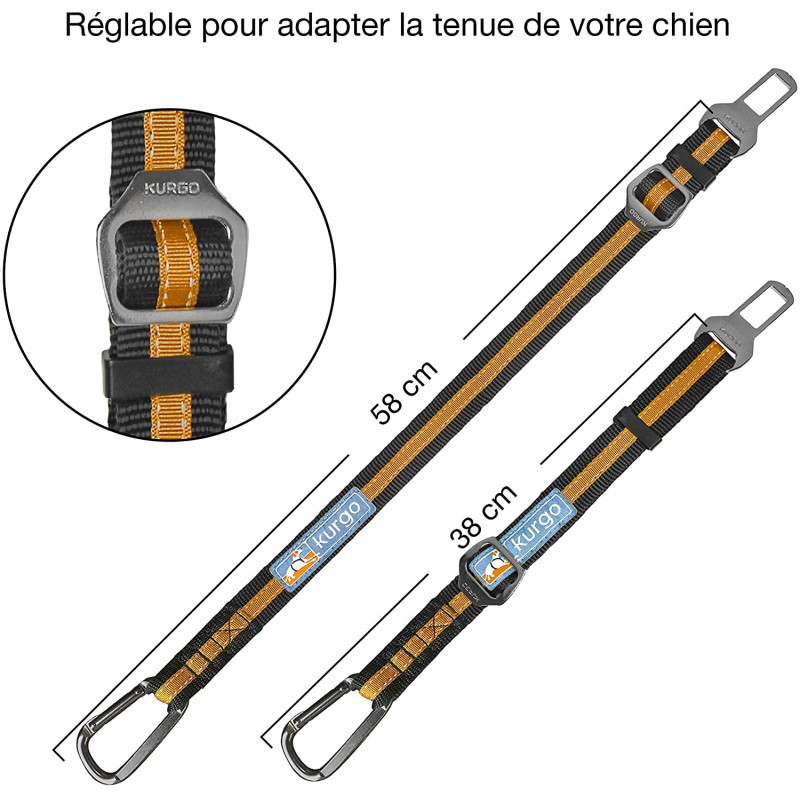 Attache de Sécurité Direct To Seatbelt Bleu pour chien en voiture