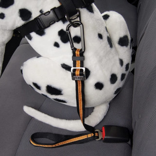 Attache directe pour ceinture de sécurité (Direct to SeatBelt Tether)