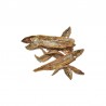 Poissons séchés pour chats (Natural Fish – 20 g)