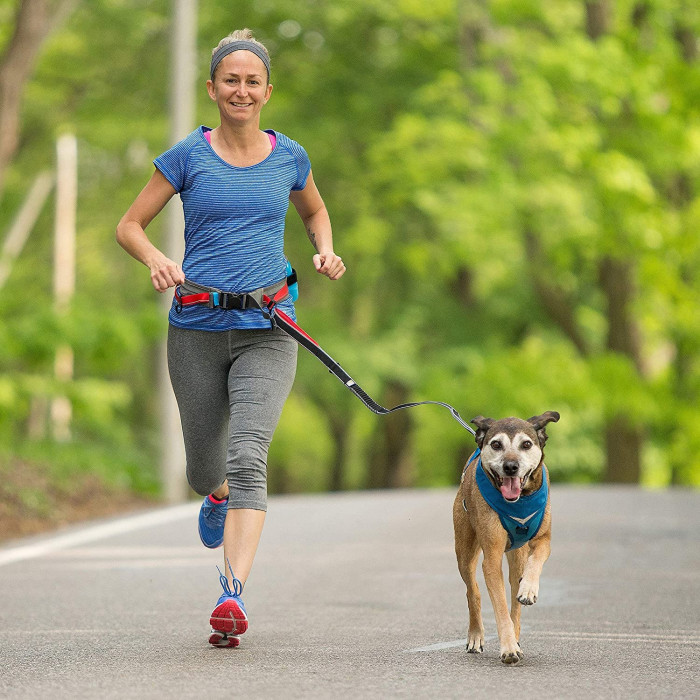 Ceinture de course (K9 Excursion Running Belt)
