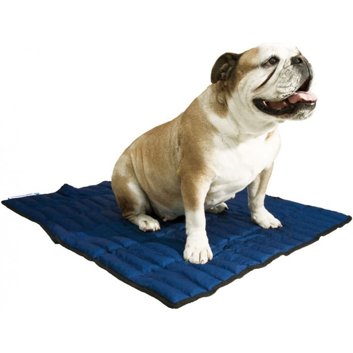 Acheter un tapis pour chiens pour votre voiture ? Pratique et résistant !