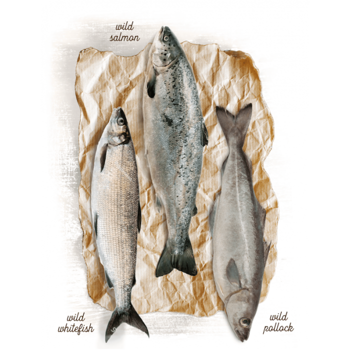 Huile de poissons sauvages (Saumon & Colin) – Peau et pelage sains – Chiens/Chats