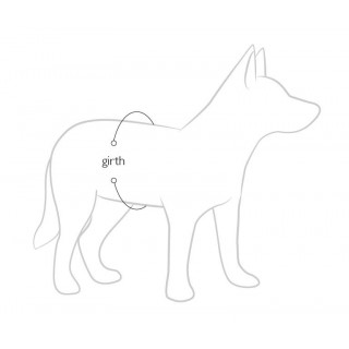Gilet de sauvetage et de flottaison EzyDog Micro DFD pour petits chiens (2 tailles)