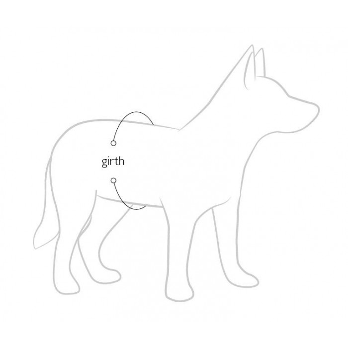 Gilet de sauvetage et de flottaison EzyDog Micro DFD pour petits chiens (2 tailles)