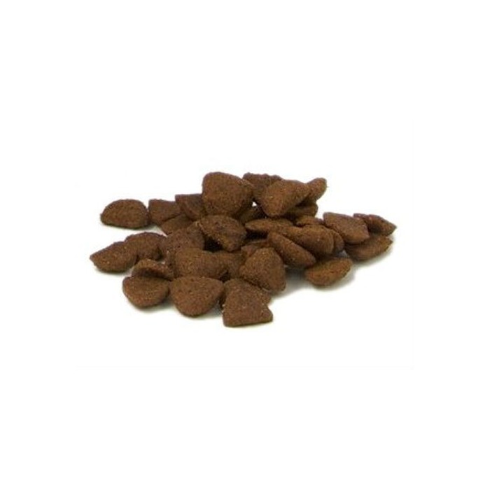 Récompenses “SuperStars” (Training Treats for Dogs)
