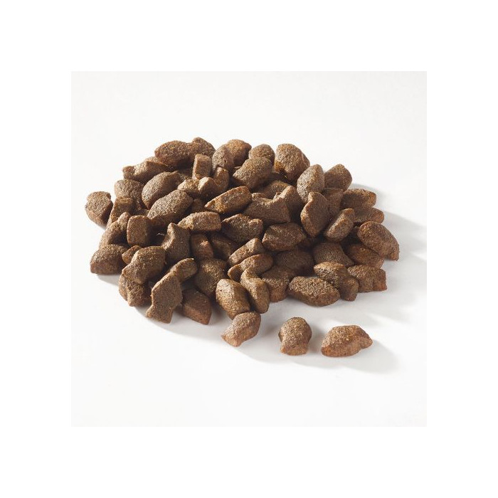 Biscuits au saumon et poisson blanc (Support+ Puppy White Fish Mini Morsels) 150 g