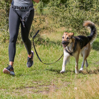 Ceinture de footing avec laisse amortie