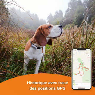 Traceur GPS Weenect Chien
