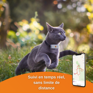 Traceur Weenect chat