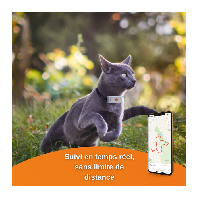 Accessoires de géolocalisation pour chiens et chats