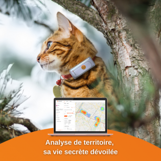 Traceur GPS Weenect pour chats