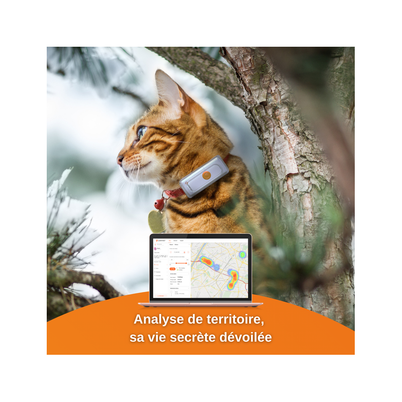 https://www.animalinboutique.fr/14931-large_default/offre-speciale-traceur-gps-weenect-pour-chats.jpg