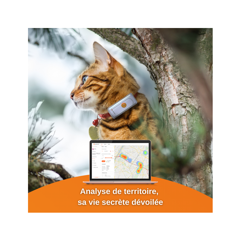 Accessoires de géolocalisation pour chiens et chats