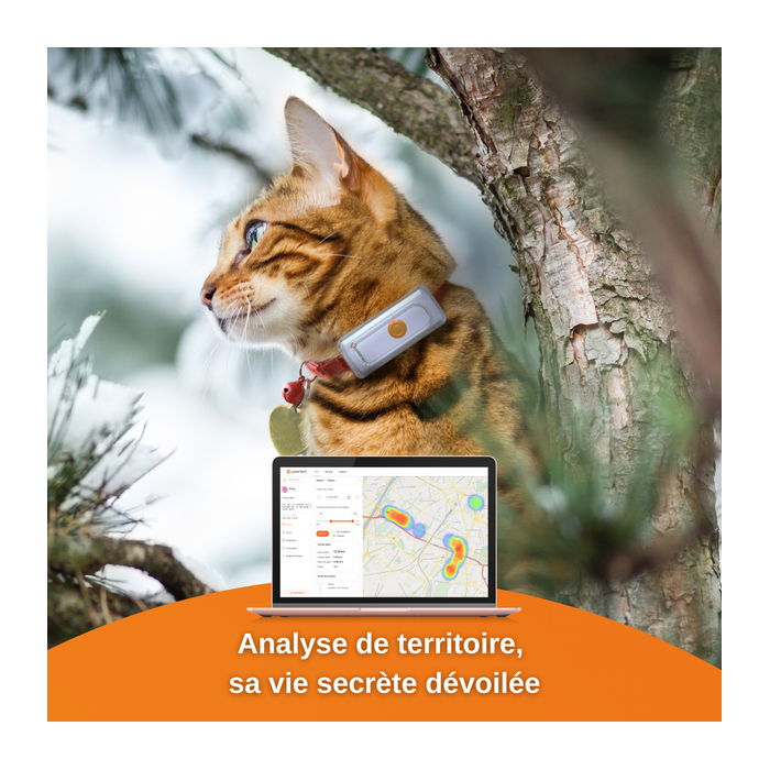 Traceur GPS Weenect pour chats (sur commande)