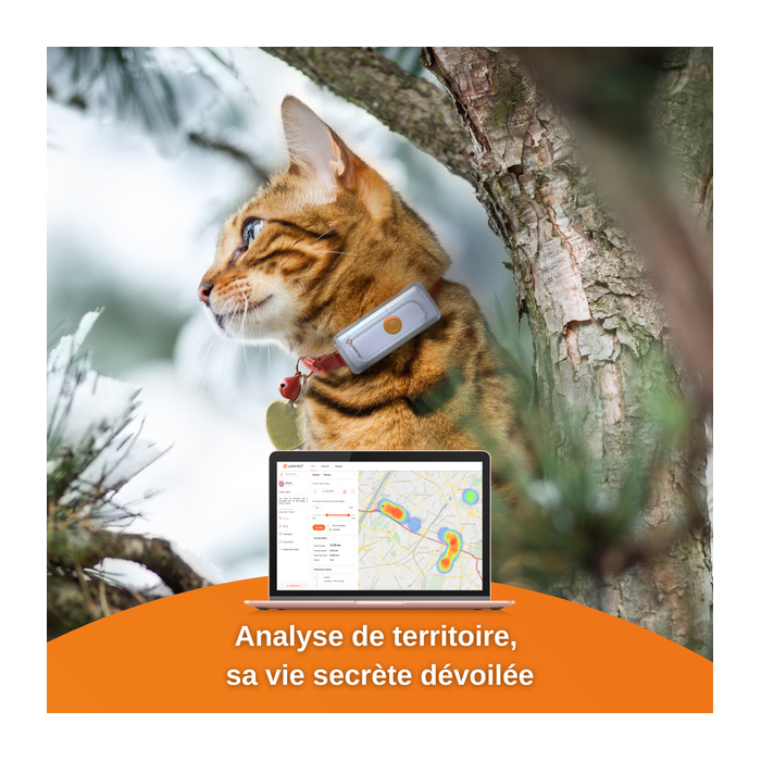 Après le collier GPS pour chats, découvrez la balise GPS pour enfants