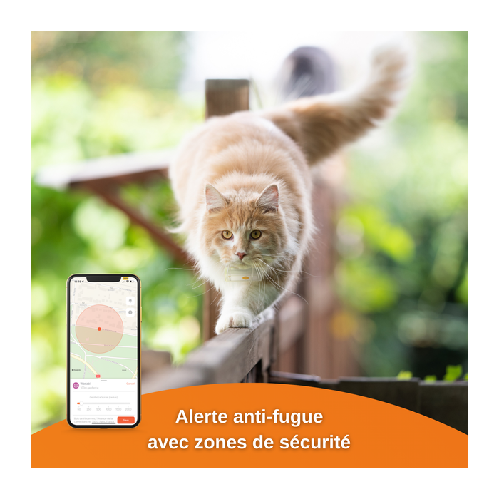 Comment fonctionne le traceur GPS pour chat ?