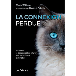 La Connexion perdue