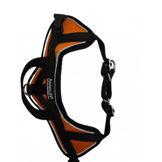 Harnais Animalin® REFLEX Orange – XL et XXL