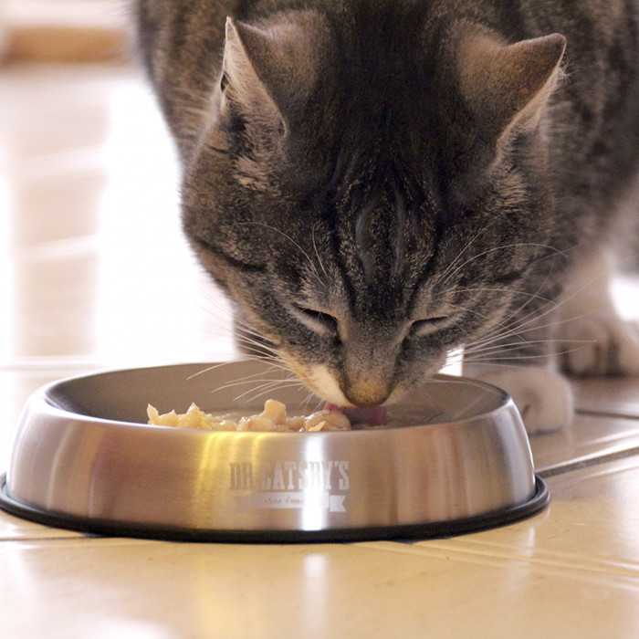 -15% Dr Catsby (Gamelle en acier inoxydable pour chat)