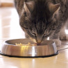 -15% Dr Catsby (Gamelle en acier inoxydable pour chat)