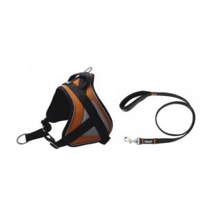 -5% Kit Sellerie – Harnais Reflex Orange + Laisse renforcée ANIMALIN