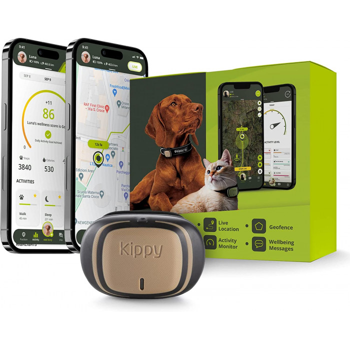 Accessoires d'activités pour chiens