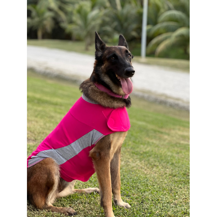 -10% – Polo Thundershirt (5 tailles – Coloris Rose)