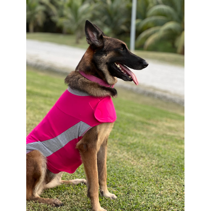 -10% – Polo Thundershirt (5 tailles – Coloris Rose)