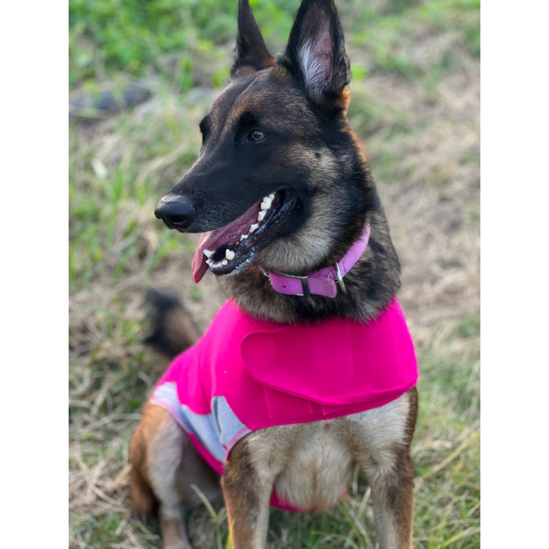 Thundershirt polo discount