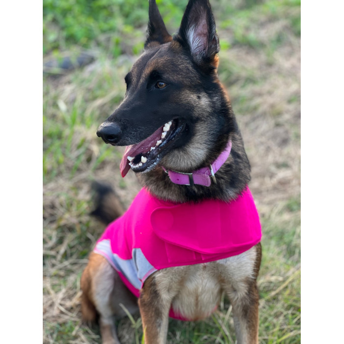 -10% – Polo Thundershirt (5 tailles – Coloris Rose)