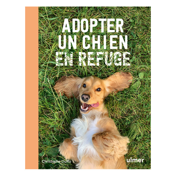 Adopter un chien en refuge – Christophe Duffo – 144 pages