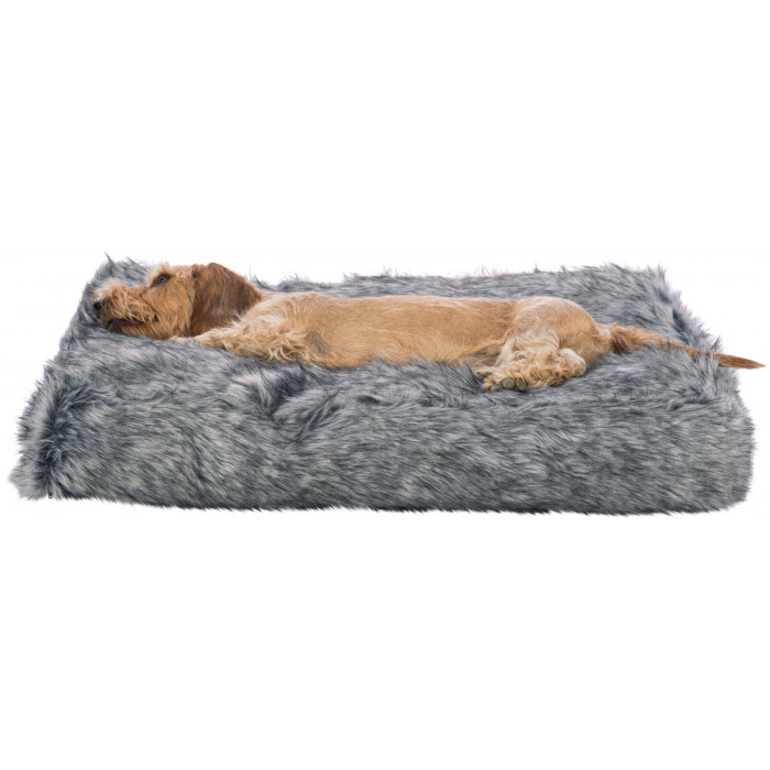 Coussin Yelina Soft Edition – 3 tailles