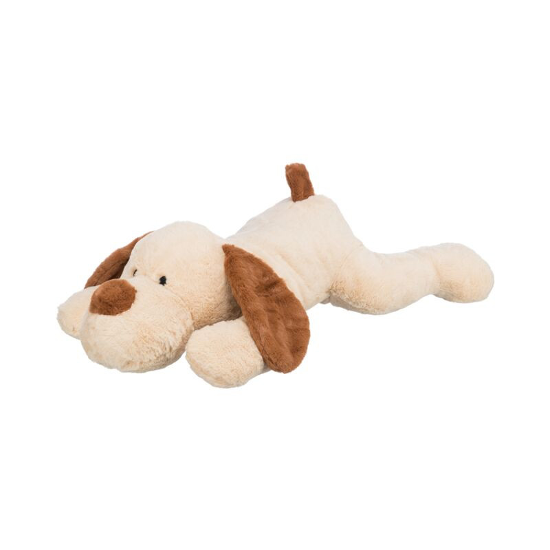 Accessoires et jouets pour chiens