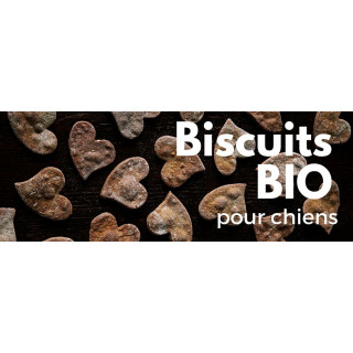 Biscuit Bio à la Caroube (A l’unité – 20/25 g)