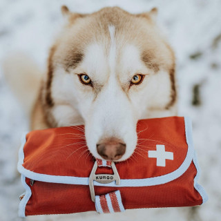 Kit de Premiers soins pour animaux (cont. 50 pièces)