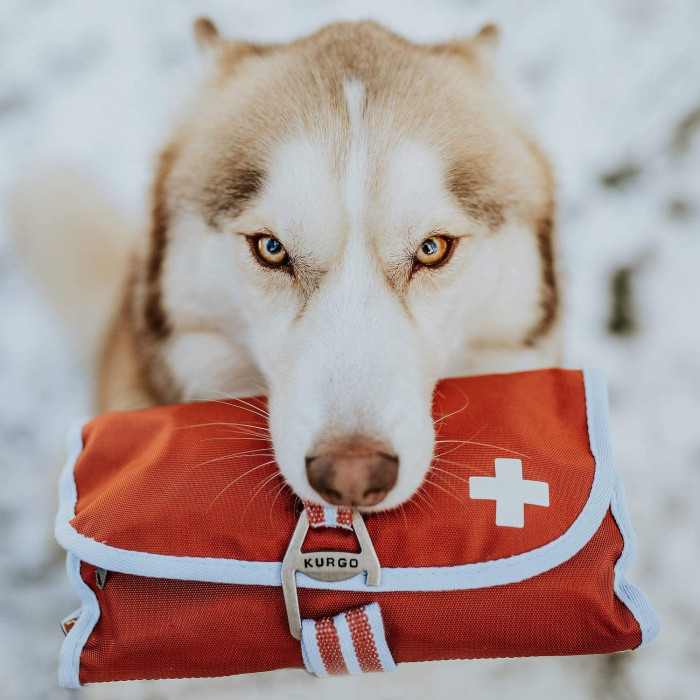 Kit de Premiers soins pour animaux (cont. 50 pièces)