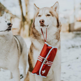 Kit de Premiers soins pour animaux (cont. 50 pièces)