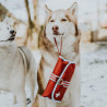 Kit de Premiers soins pour animaux (cont. 50 pièces)