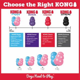 KONG Chiot (Puppy KONG) 3 tailles/2 coloris