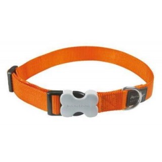 Collier Red Dingo pour petits chiens (12 mm – 5 coloris)