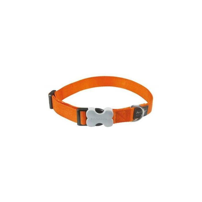 Collier Red Dingo pour petits chiens (12 mm – 5 coloris)