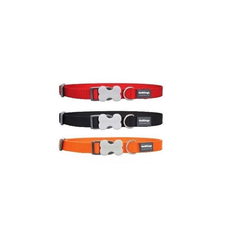 Collier Red Dingo pour petits chiens (12 mm – 5 coloris)