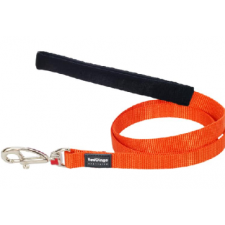 Laisse Red Dingo Petits chiens (largeur 12 mm)