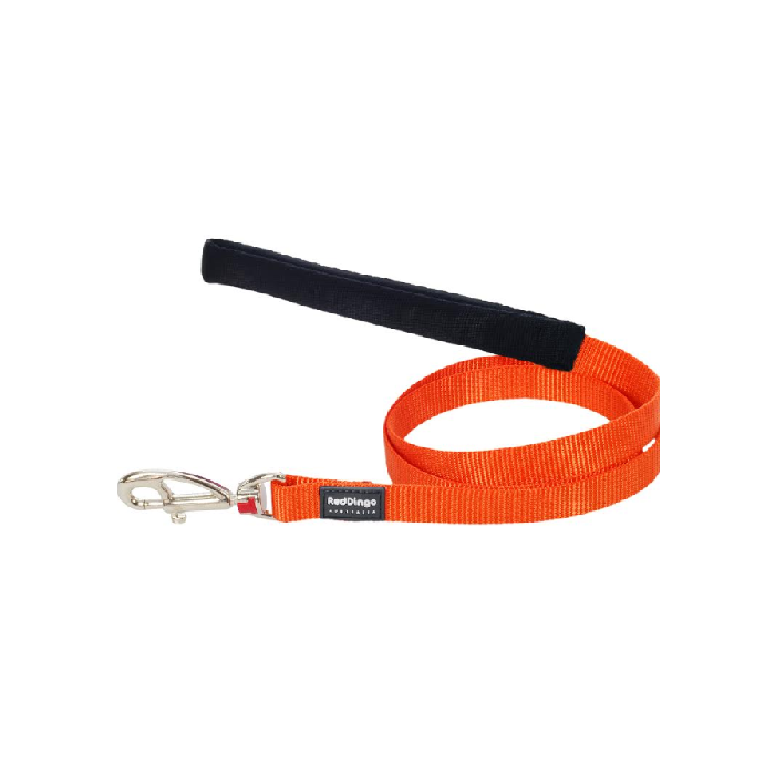 Laisse Red Dingo Petits chiens (largeur 12 mm)