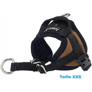 -50% Harnais Animalin® AUTOMNE – XXS - Couleur noisette